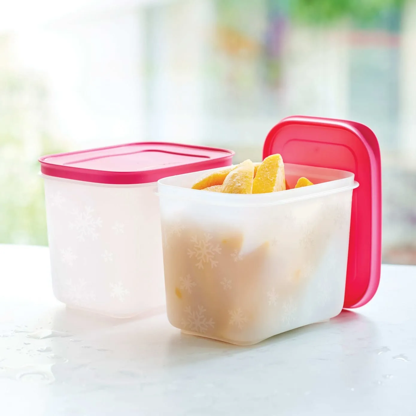 Boîte de rangement Tupperware Alaska High Body 2 pièces, 1100 ml - Image 2