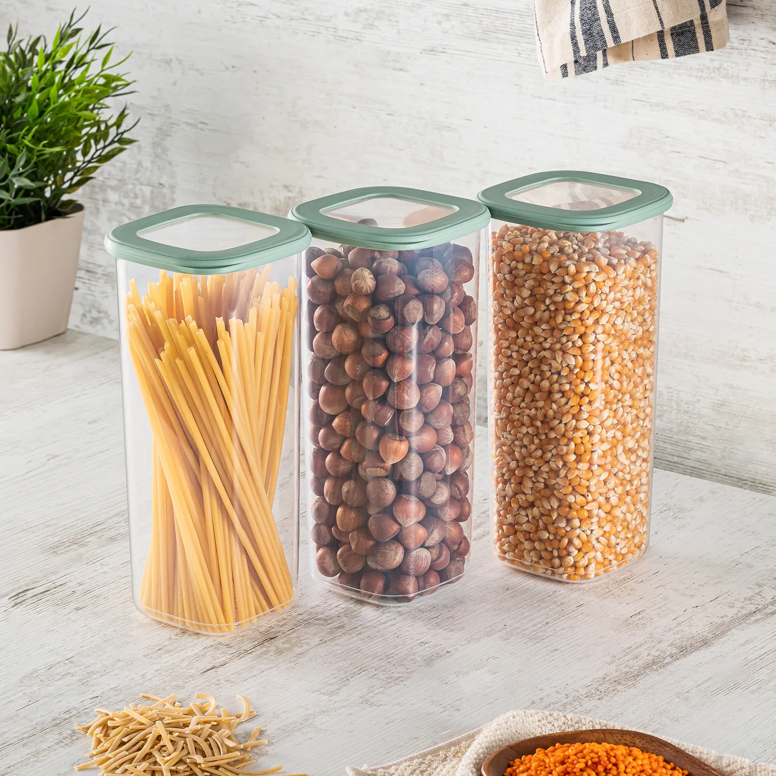 Boîtes de rangement Karaca Forbs, 12 pièces - Image 4